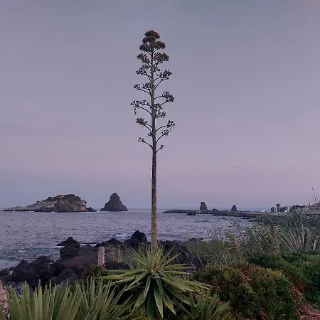 Stella Di Mare Aci Castello